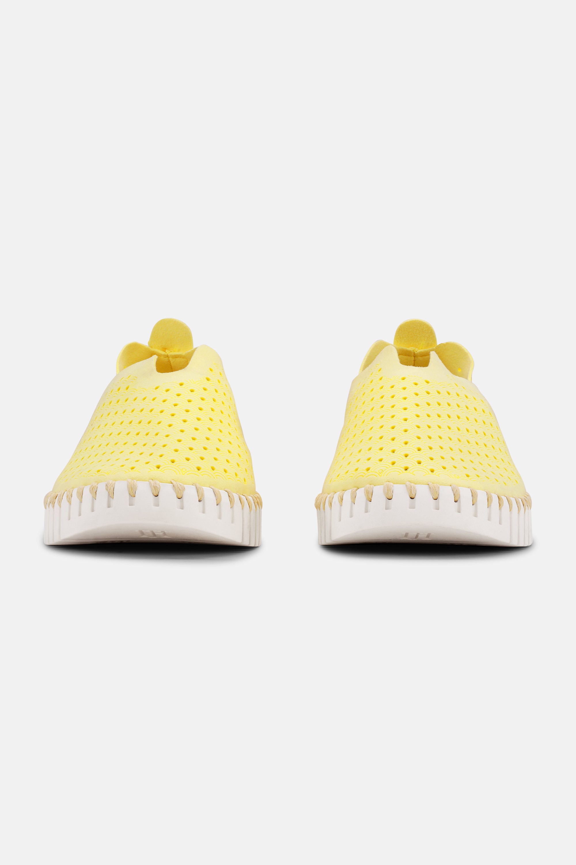 Tulip Slipper - Lemon Drop